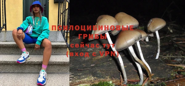 эйфоретик Аркадак