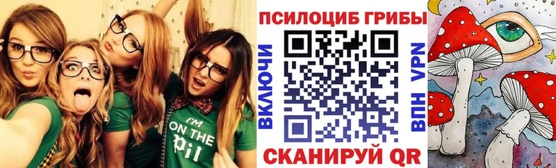 Галлюциногенные грибы Psilocybe  купить   omg зеркало  Пошехонье 