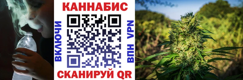 omg как зайти  Пошехонье  Каннабис White Widow  что такое  